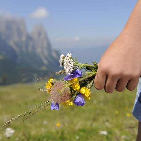 Hotel Schmung: our picture gallery Child holding a bouquet of colorful wildflowers in the mountains
