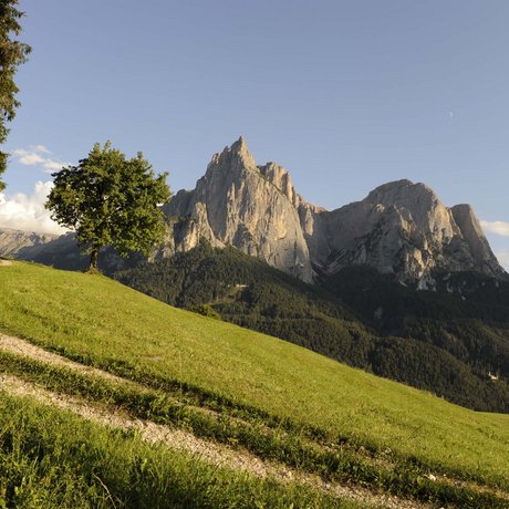 Hotel Schmung: our picture gallery Hiking trail on green meadow with mountain and church in the background