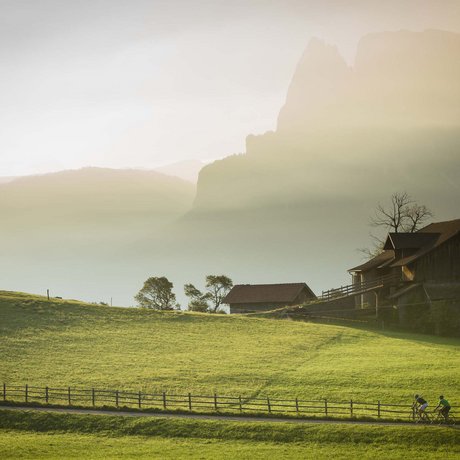 Hotel Schmung: our picture gallery Cyclists riding on path beside farmhouse in sunlit mountain landscape